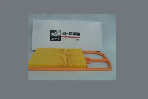 Air Filter (AE113)