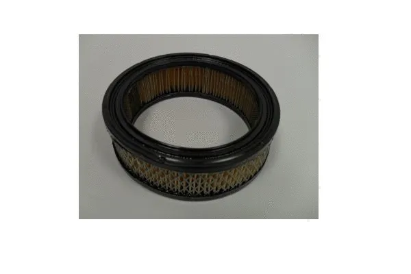 Air Filter (AE3246)
