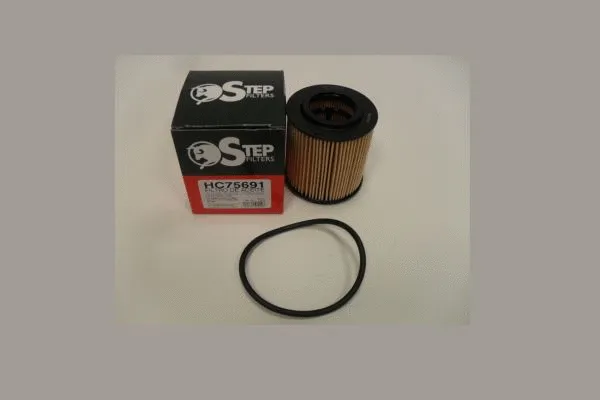 Oil Filter (HC75691)