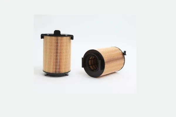 Air Filter (AE24625)