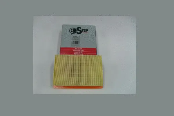 Air Filter (AE494)
