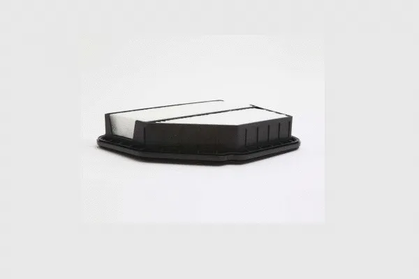Air Filter (AE47029)