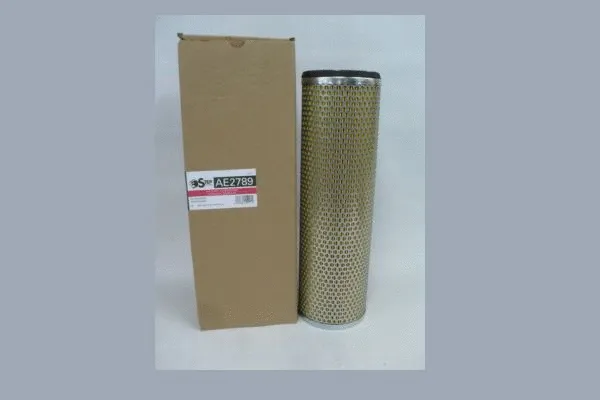 Air Filter (AE2789)