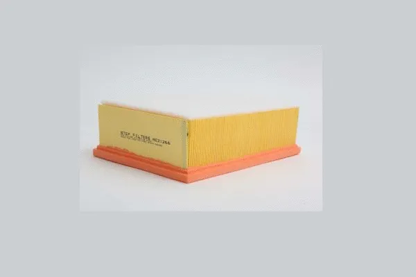 Air Filter (AE21266)