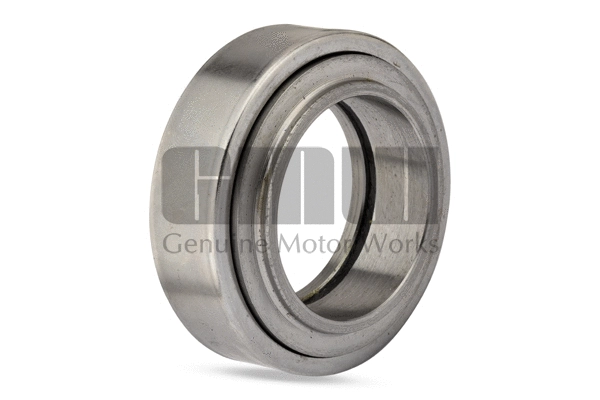 Repair Kit, kingpin (300500RB)