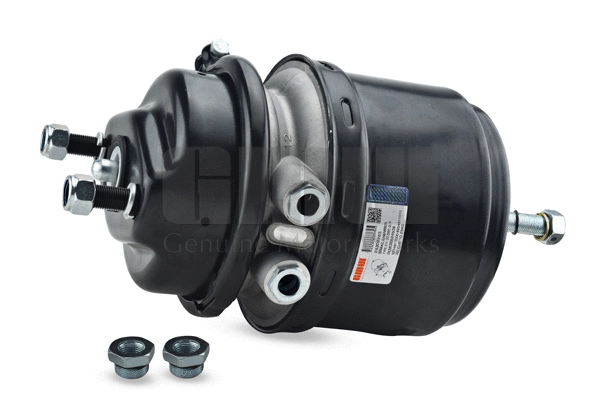 Spring-loaded Cylinder (243022651)