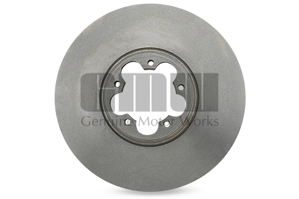 Brake Disc (BD206125AA)