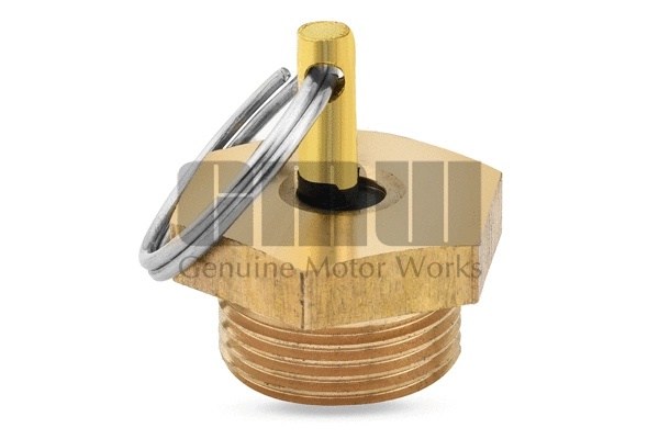 Water Drain Valve (VL9343030)