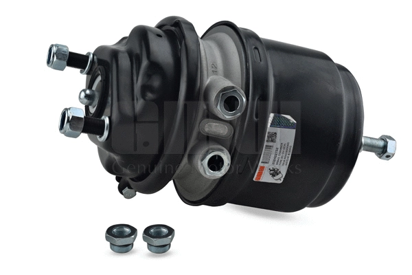 Spring-loaded Cylinder (202422752)