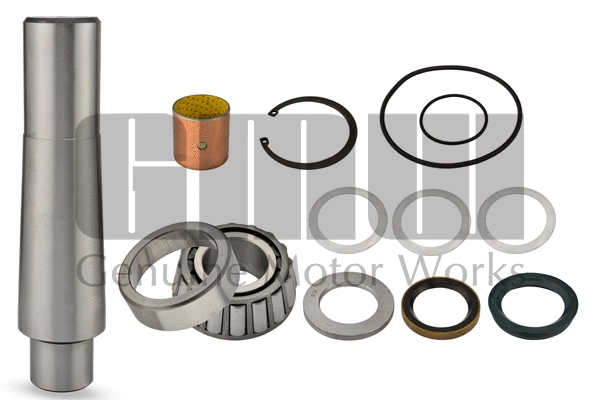 Repair Kit, kingpin (KP550257)