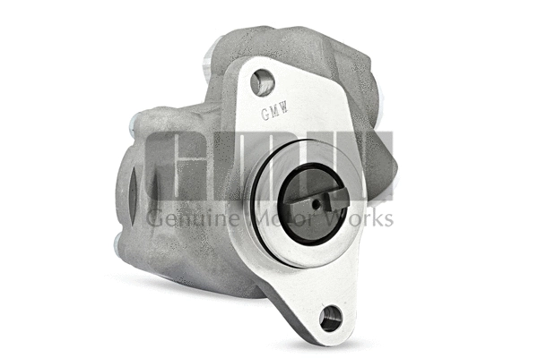 Hydraulic Pump, steering (PM05010)