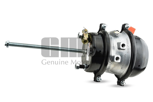 Spring-loaded Cylinder (243013751)