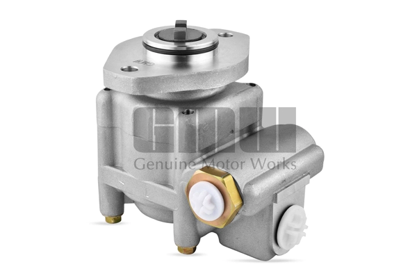 Hydraulic Pump, steering (PM55505)