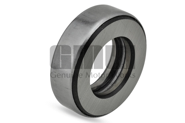 Timing Belt (T119)