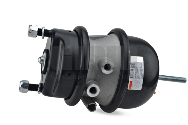 Spring-loaded Cylinder (162423651)