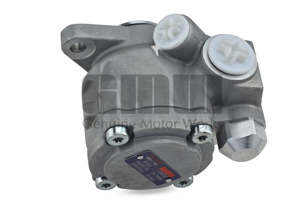 Hydraulic Pump, steering (PM55324)