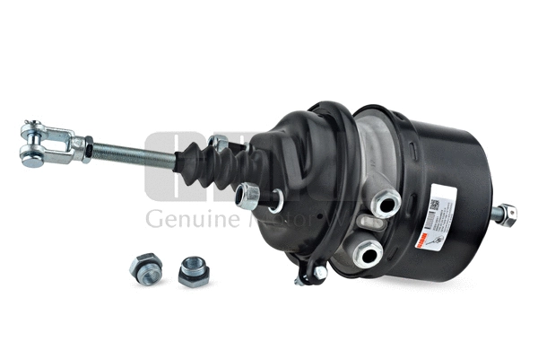 Spring-loaded Cylinder (202412651)