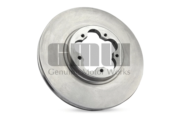 Brake Disc (BD601125AA)