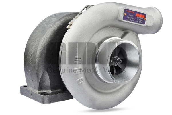 Charger, charging (supercharged/turbocharged) (TB170250FT)