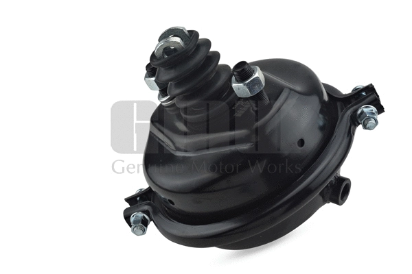 Diaphragm Brake Cylinder (270011752)