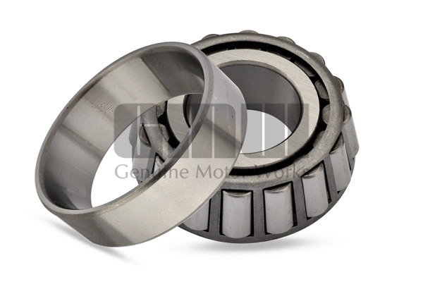 Repair Kit, kingpin (309266RB)