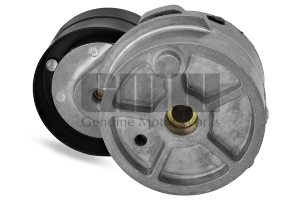 Belt Tensioner, V-ribbed belt (GT45227)
