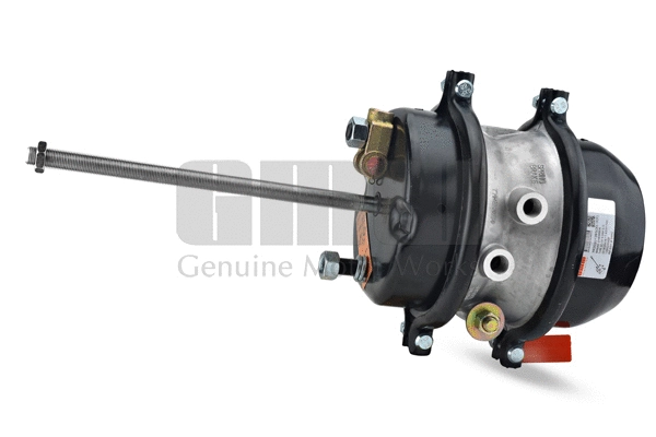 Spring-loaded Cylinder (303013651)