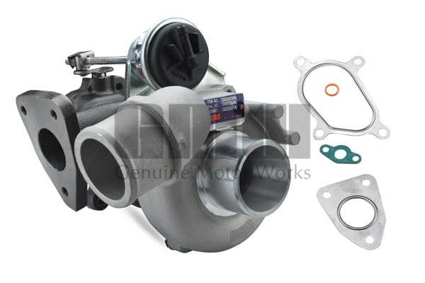 Charger, charging (supercharged/turbocharged) (TB533970RN)