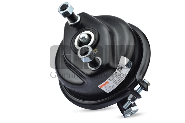 Diaphragm Brake Cylinder (240021651)