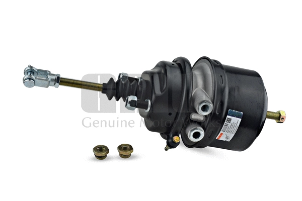 Spring-loaded Cylinder (162412651)