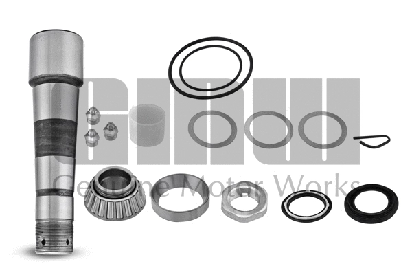 Repair Kit, kingpin (KP133870S)