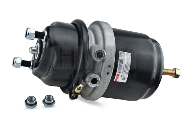 Spring-loaded Cylinder (202422751)