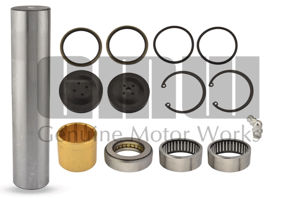 Repair Kit, kingpin (KP356465)