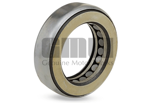 Bearing, steering knuckle (536125B)