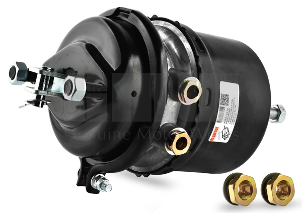 Spring-loaded Cylinder (242412370)