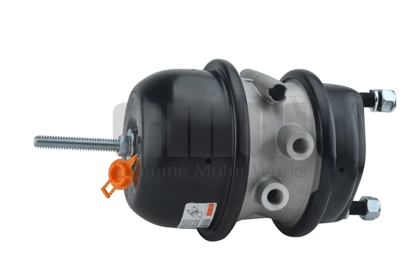 Spring-loaded Cylinder (202423651)