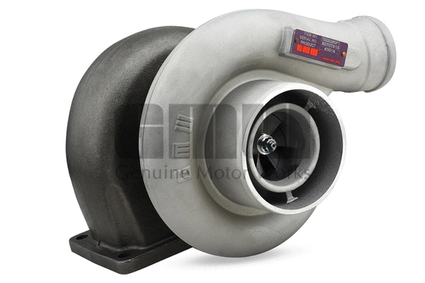 Charger, charging (supercharged/turbocharged) (TB220260FT)