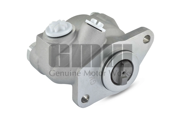 Hydraulic Pump, steering (PM02310)