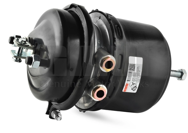 Spring-loaded Cylinder (303012370)