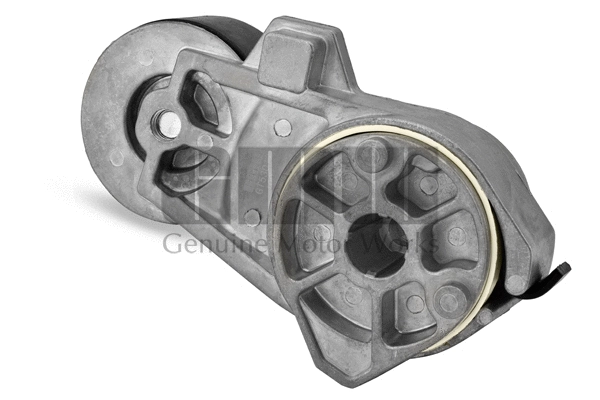 Belt Tensioner, V-ribbed belt (GT53012)