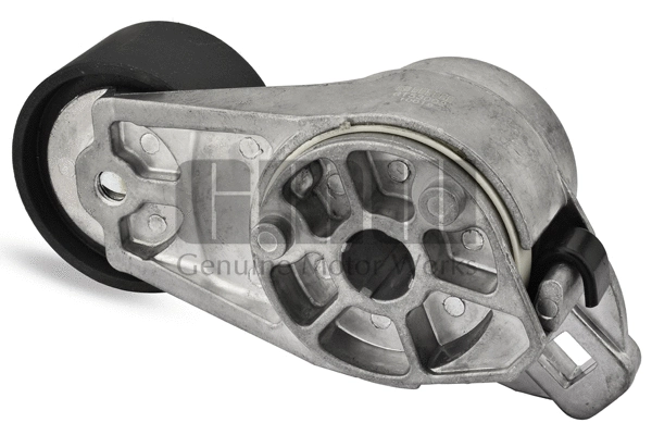 Belt Tensioner, V-ribbed belt (GT53002)