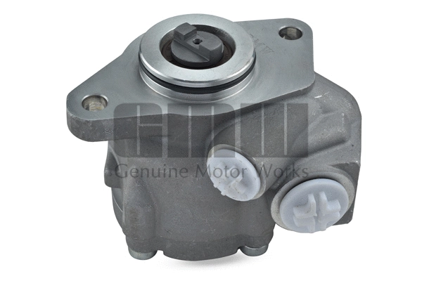 Hydraulic Pump, steering (PM03210)