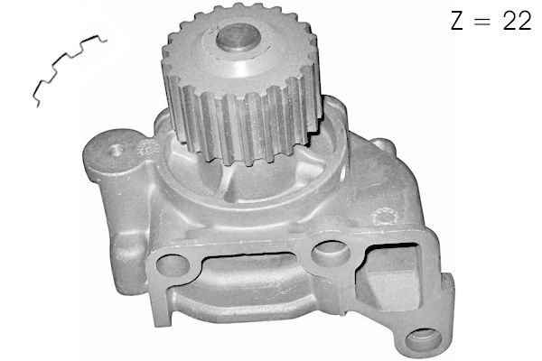 Water Pump, engine cooling (TPAE0219)