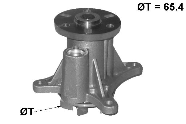 Water Pump, engine cooling (TPAE0098)