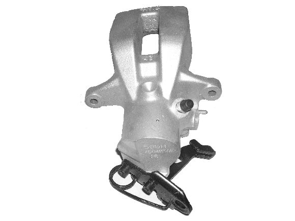 Brake Caliper (TET1972)