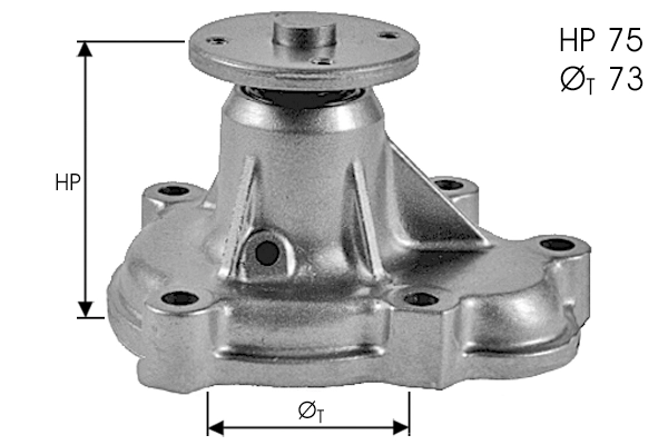Water Pump, engine cooling (TPAE0116)