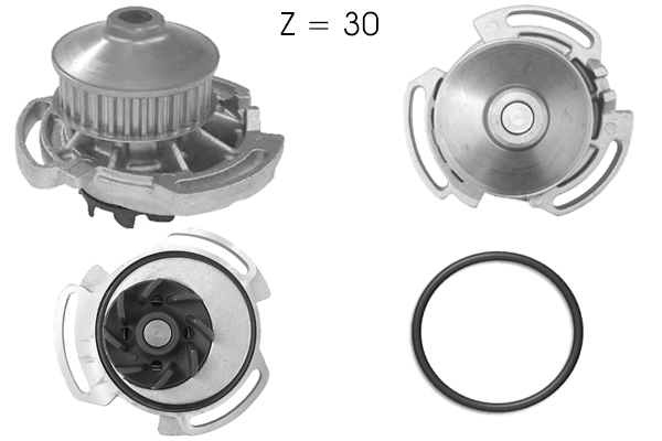 Water Pump, engine cooling (TPAE0254)