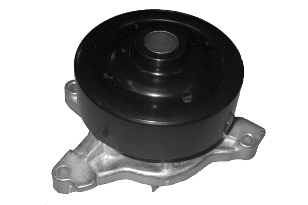 Water Pump, engine cooling (TPAE0294)