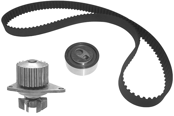 Water Pump & Timing Belt Kit (TKPE0012)
