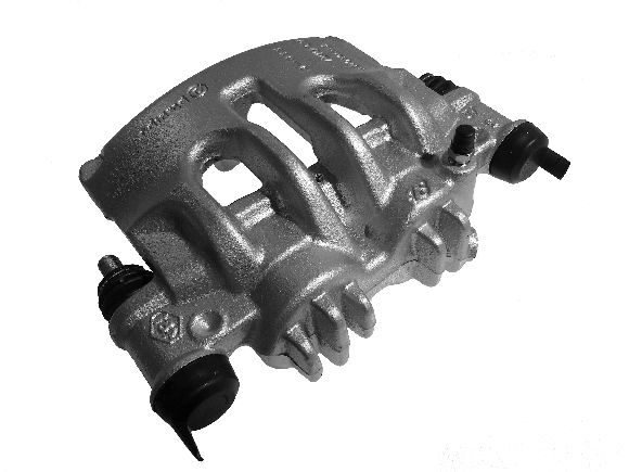 Brake Caliper (TET0181)